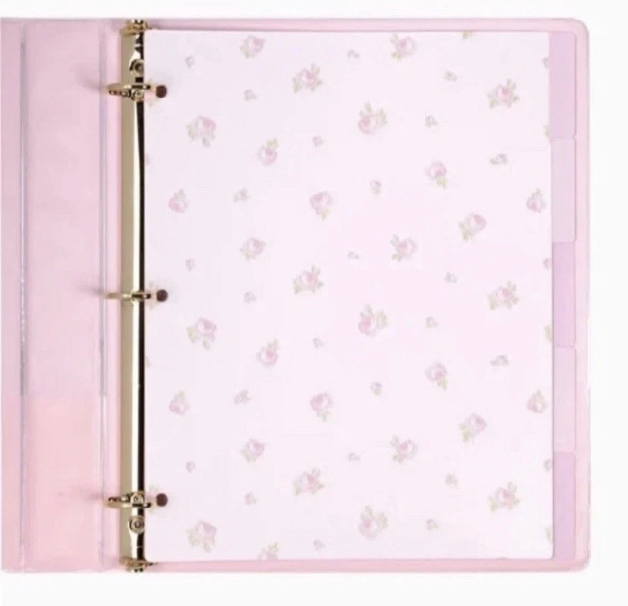 LSF X TARGET 3 RING BINDER W/ DIVIDERS (STRAWBERRY MACARON)