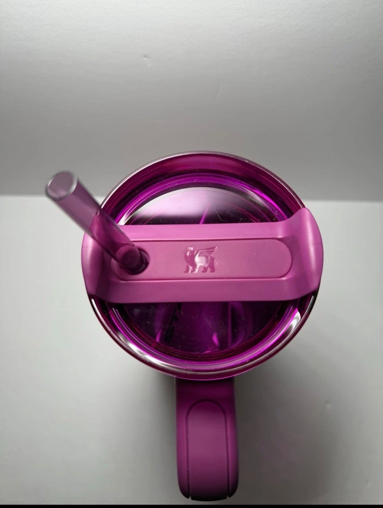 Stanley Dia De Los Muertos Tumbler Midnight Catrina 30 oz Quencher H2.0 “Sunrise Catrina”